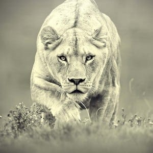 Mindset & Motivation Workshop