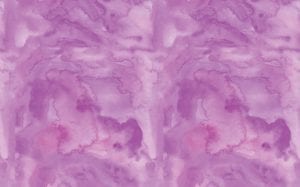 Weight Loss in L'Derry - Million Dollar Fitness